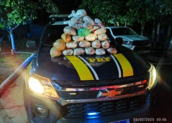 PRF realiza apreensão de maconha em Guajará-Mirim/RO – Canal do Madeira
