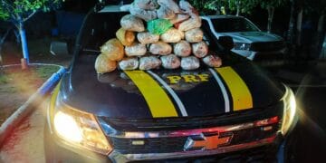 PRF realiza apreensão de maconha em Guajará-Mirim/RO – Canal do Madeira