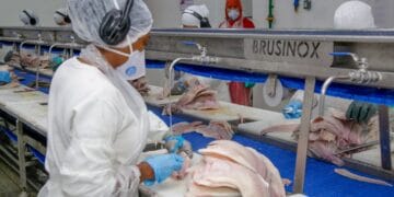 Governo de RO oferece mais de 2 mil vagas de emprego e cursos gratuitos, com chances de inserção no mercado de trabalho