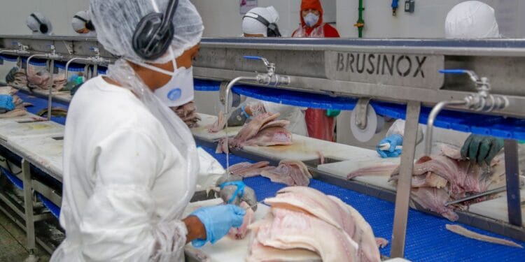 Governo de RO oferece mais de 2 mil vagas de emprego e cursos gratuitos, com chances de inserção no mercado de trabalho