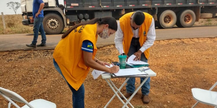 Ação estratégica intensifica monitoramento no trânsito de produtos agropecuários em Rondônia