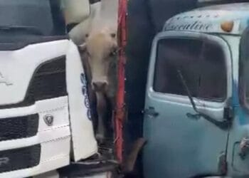 Grave acidente na curva da morte envolve duas carretas e um veículo de passeio