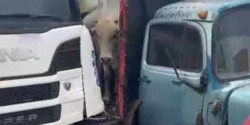 Grave acidente na curva da morte envolve duas carretas e um veículo de passeio