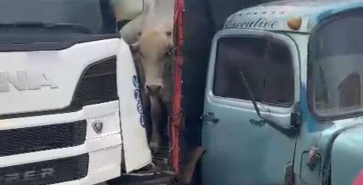 Grave acidente na curva da morte envolve duas carretas e um veículo de passeio