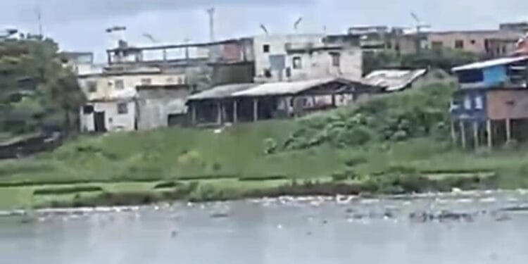 MANAUS: Corpo é encontrado boiando em igarapé no Educandos; veja os vídeos