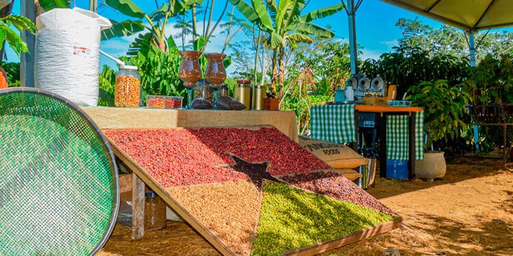 Desenvolvimento – Rondônia destaca-se como ambiente de negócios e bate recorde de exportações – Governo do Estado de Rondônia