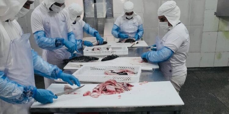 Rondônia se destaca com crescimento econômico no comércio, indústrias e agronegócio