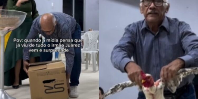 Idoso oferta galinhas para reforma de igreja e ato emociona: “O Senhor recebeu”