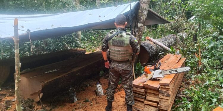 Desenvolvimento Ambiental – Relatório da “Operação Hileia” destaca avanços no combate ao desmatamento em Rondônia – Governo do Estado de Rondônia