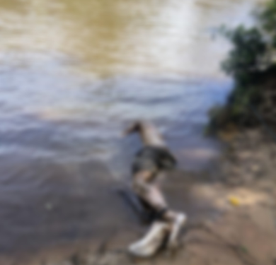 Corpo de homem com os pés e mãos amarrados é encontrado no “poção da 180”, em Rolim de Moura