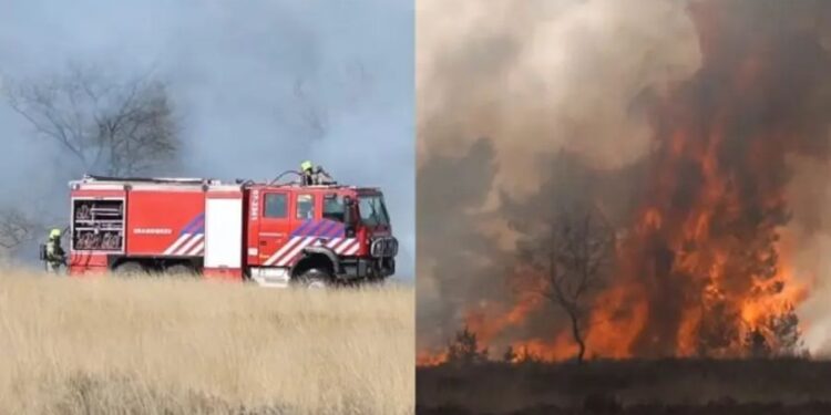 Evangelista ora para incêndio não atingir casa e milagre acontece