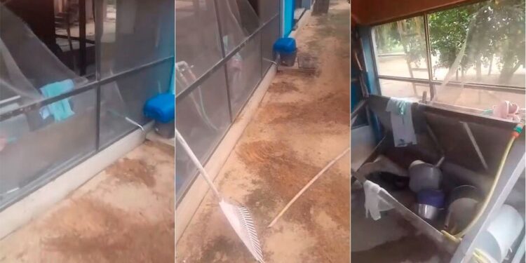 Onça retorna a casa onde atacou e matou o caseiro Jorge Ávalo e revira local a procura do corpo