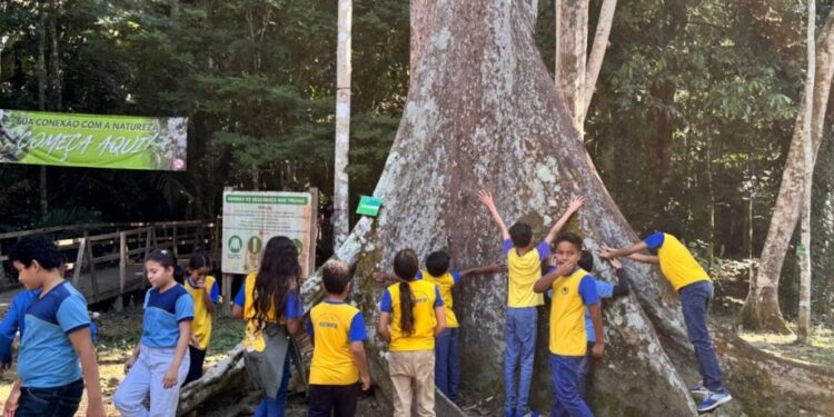 Projeto “Mãos que Protegem” leva educação ambiental aos estudantes da rede municipal