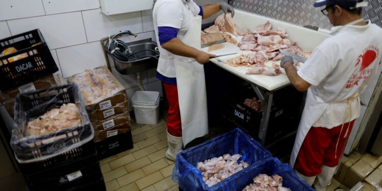 Prazo de 28 dias para Brasil ficar livre da gripe aviária começa hoje