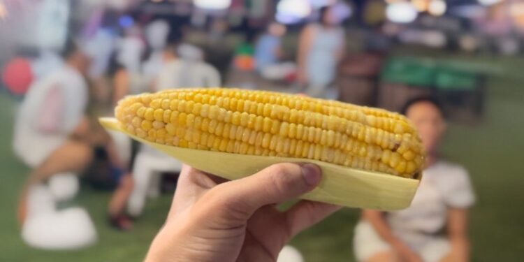Vendedores ambulantes comemoram vendas no Arraiá da Prefs no Parque da Cidade