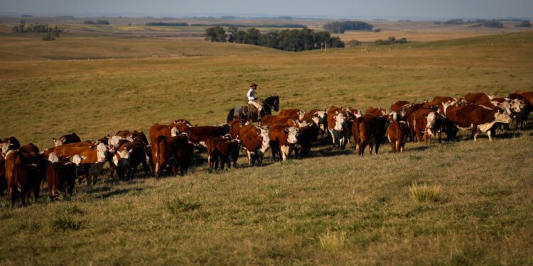 PIB cresce 1,4% no primeiro trimestre de 2025