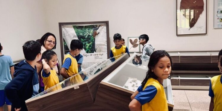 Alunos da Escola Municipal Broto do Açaí têm manhã de aprendizado e diversão no Parque Natural de Porto Velho