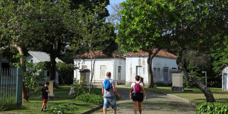 Programação no Mast lembra os 100 anos de visita de Eisntein ao Brasil