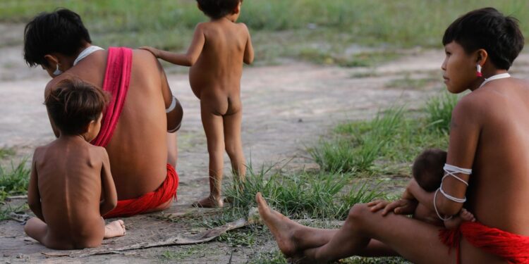 Número de óbitos no território Yanomami teve redução de 21% em 2024