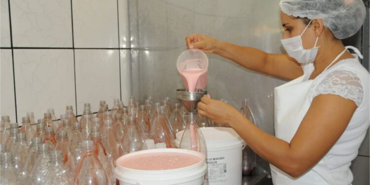 Governo de RO comemora um ano do Dia Estadual da Mulher do Agronegócio