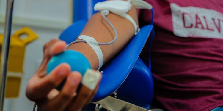 Fhemeron celebra Dia Mundial do Doador de Sangue com homenagens e mais de 488 bolsas coletadas em RO