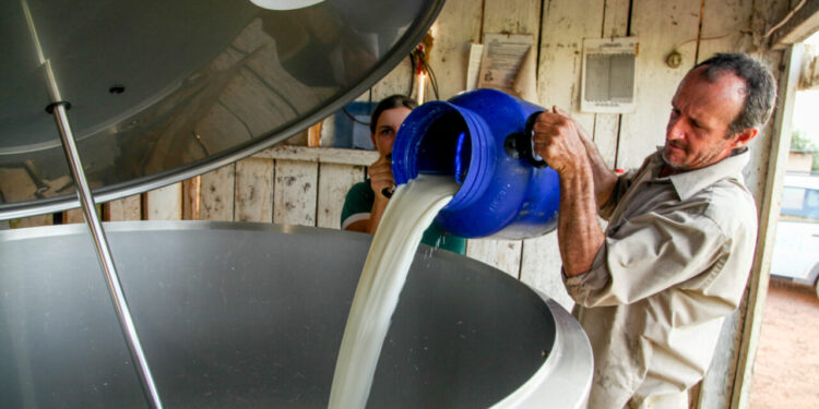 Concurso Leiteiro valoriza produtores rurais e impulsiona pecuária em Cabixi