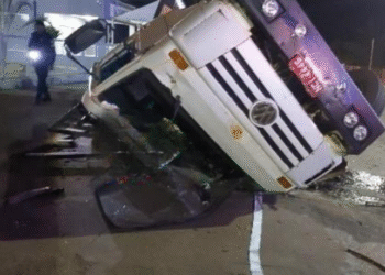 Motorista sem habilitação adequada capota caminhão com madeira ilegal no centro de Porto Velho