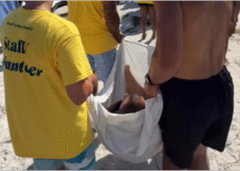 Igreja surpreende e carrega paralítico ao local de batismo