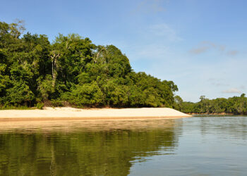 Governo de RO inicia audiências públicas para atualização de diretrizes do plano estadual de desenvolvimento sustentável