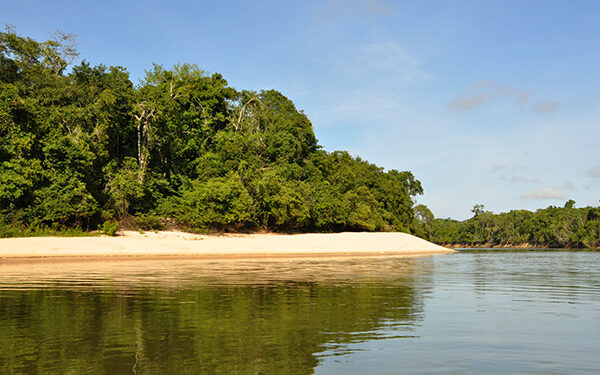Governo de RO inicia audiências públicas para atualização de diretrizes do plano estadual de desenvolvimento sustentável