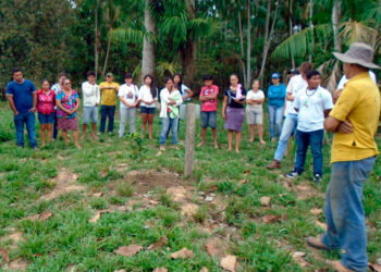 Produtor familiar alia renda e sustentabilidade com suporte do governo de RO