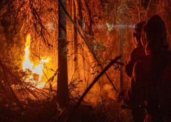 Número de áreas queimadas no país cai 65,8% no primeiro semestre