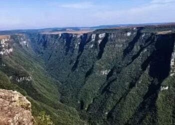 Planejamento da segurança em parques reduz riscos, mas não os elimina