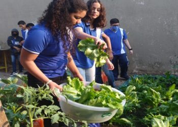 Governo de RO amplia ações de educação ambiental e reforça combate às queimadas com quase 10 mil pessoas alcançadas