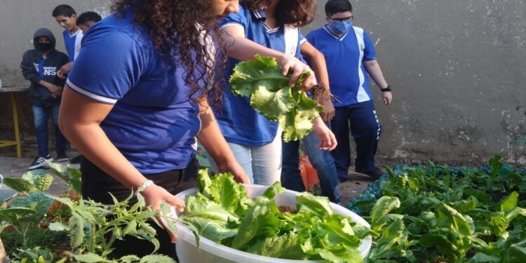 Governo de RO amplia ações de educação ambiental e reforça combate às queimadas com quase 10 mil pessoas alcançadas