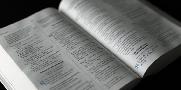 Câmara de Joinville aprova uso da Bíblia como material complementar em escolas