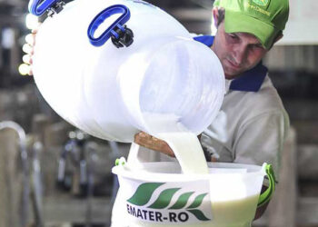 Com apoio do Governo de RO, produtores de Machadinho do Oeste se destacam em concurso leiteiro no Vale do Jamari