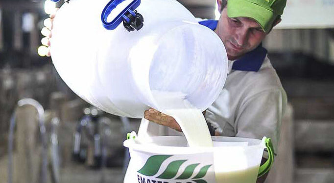 Com apoio do Governo de RO, produtores de Machadinho do Oeste se destacam em concurso leiteiro no Vale do Jamari