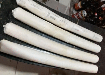 Mulher é presa com explosivos e munições em residência na zona leste de Porto Velho