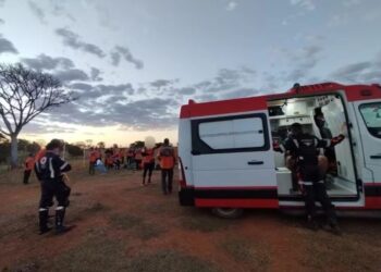 ataque de abelhas deixa participantes hospitalizados