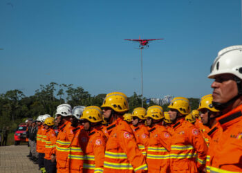 Rondônia conquista 1º lugar na redução de focos de queimadas e se destaca no Brasil ao passar por estiagem mais branda