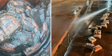 Polícia apreende 20 pacotes de skunk em Porto Velho em ação conjunta com o Acre