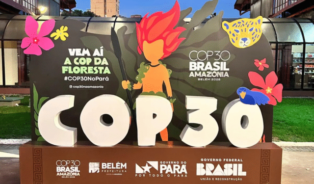 Movimentos cristãos internacionais lançam guia de oração para a COP30
