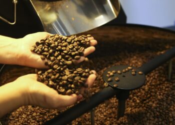 Associação de cafés especiais apoia medidas do Plano Brasil Soberano