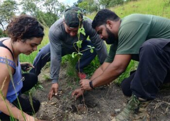 Rio: mutirão na Serra do Vulcão promove ações climáticas da periferia