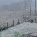 Rio Grande do Sul registra neve em algumas localidades