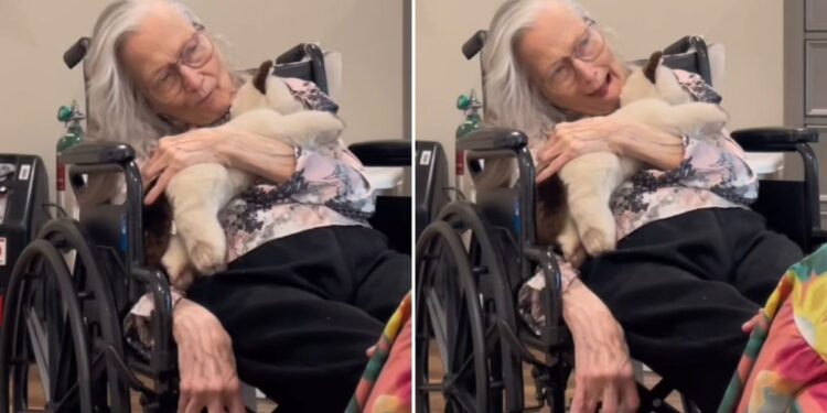 Idosa de 90 anos diagnosticada com demência lembra da Bíblia: “Jesus é o Filho de Deus”