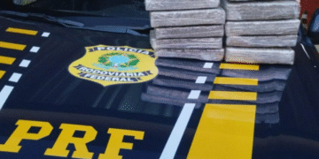 Mulher é presa com 10 kg de maconha em abordagem da PRF na BR-364 em Rondônia