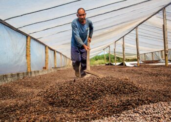 Governo de RO celebra 54 anos da Emater-RO com resultados que fortalecem agricultura familiar no estado