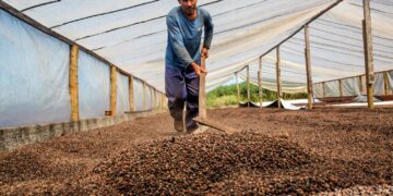 Governo de RO celebra 54 anos da Emater-RO com resultados que fortalecem agricultura familiar no estado